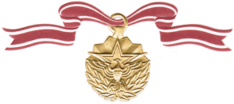 Meritorious Service Medal